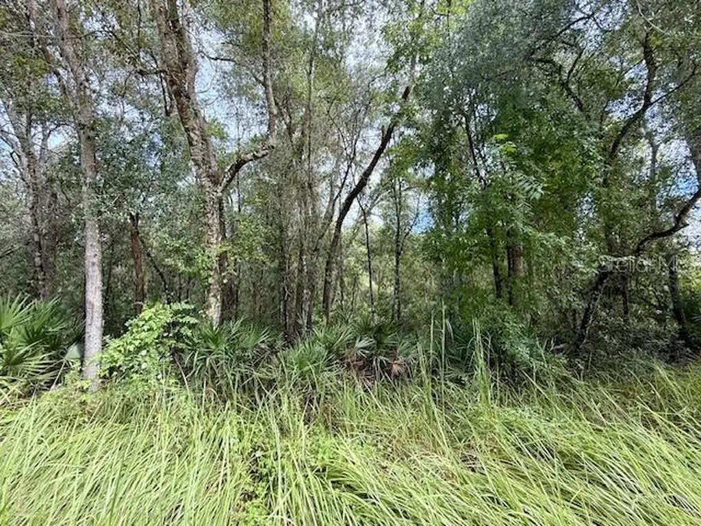 0 Gresham Road Webster FL 33597