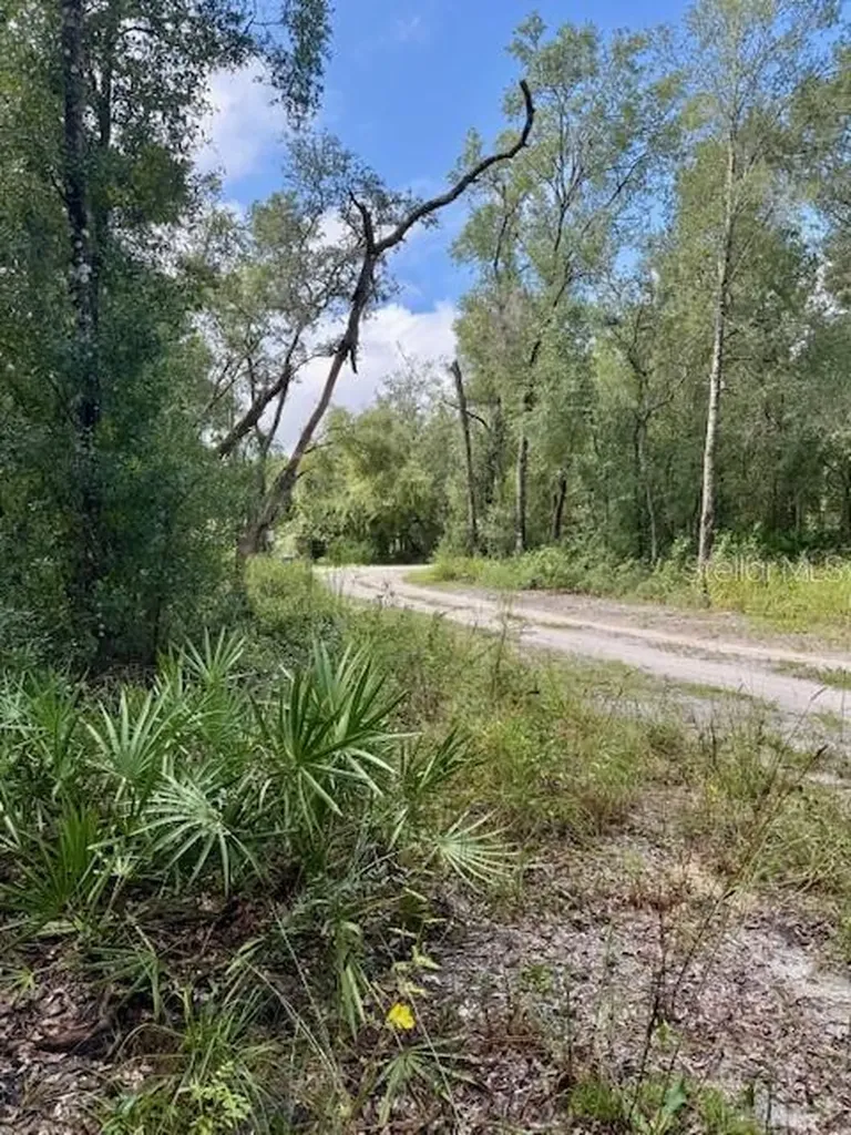 0 Gresham Road Webster FL 33597