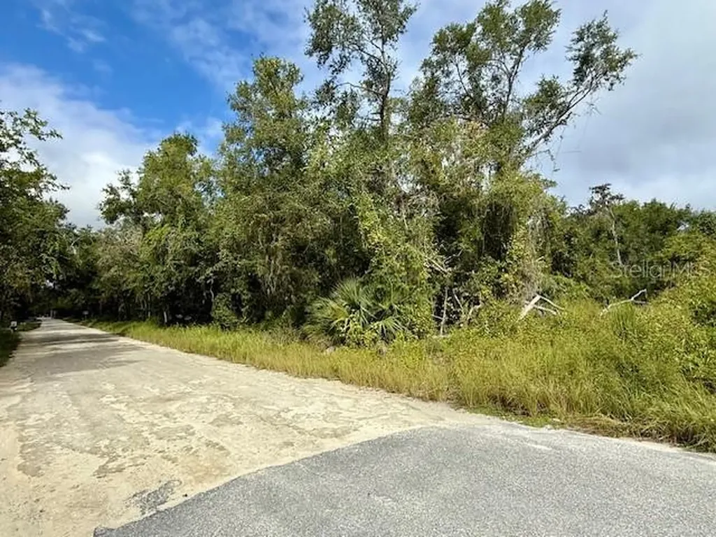 0 Gresham Road Webster FL 33597