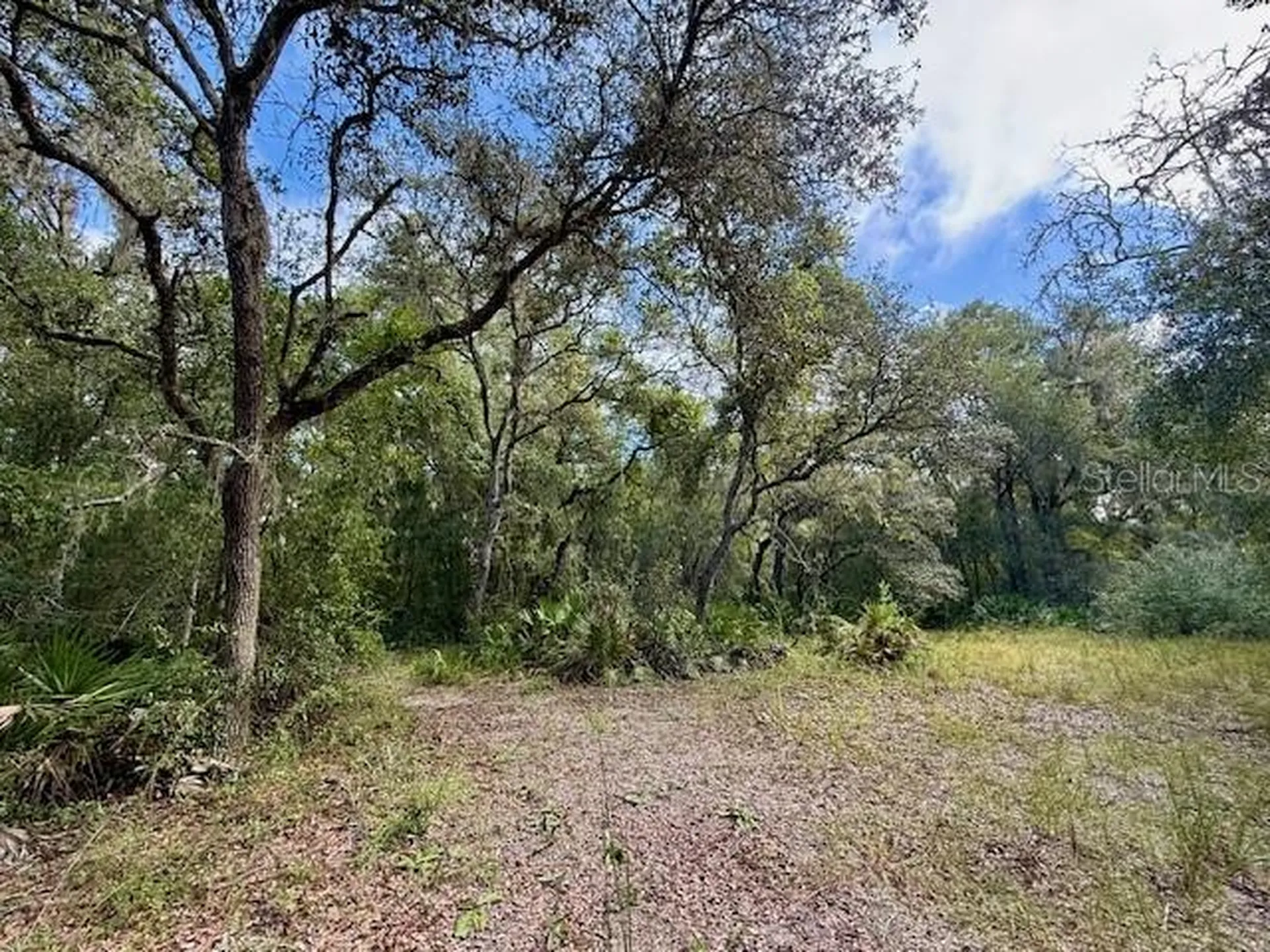 0 Gresham Road Webster FL 33597