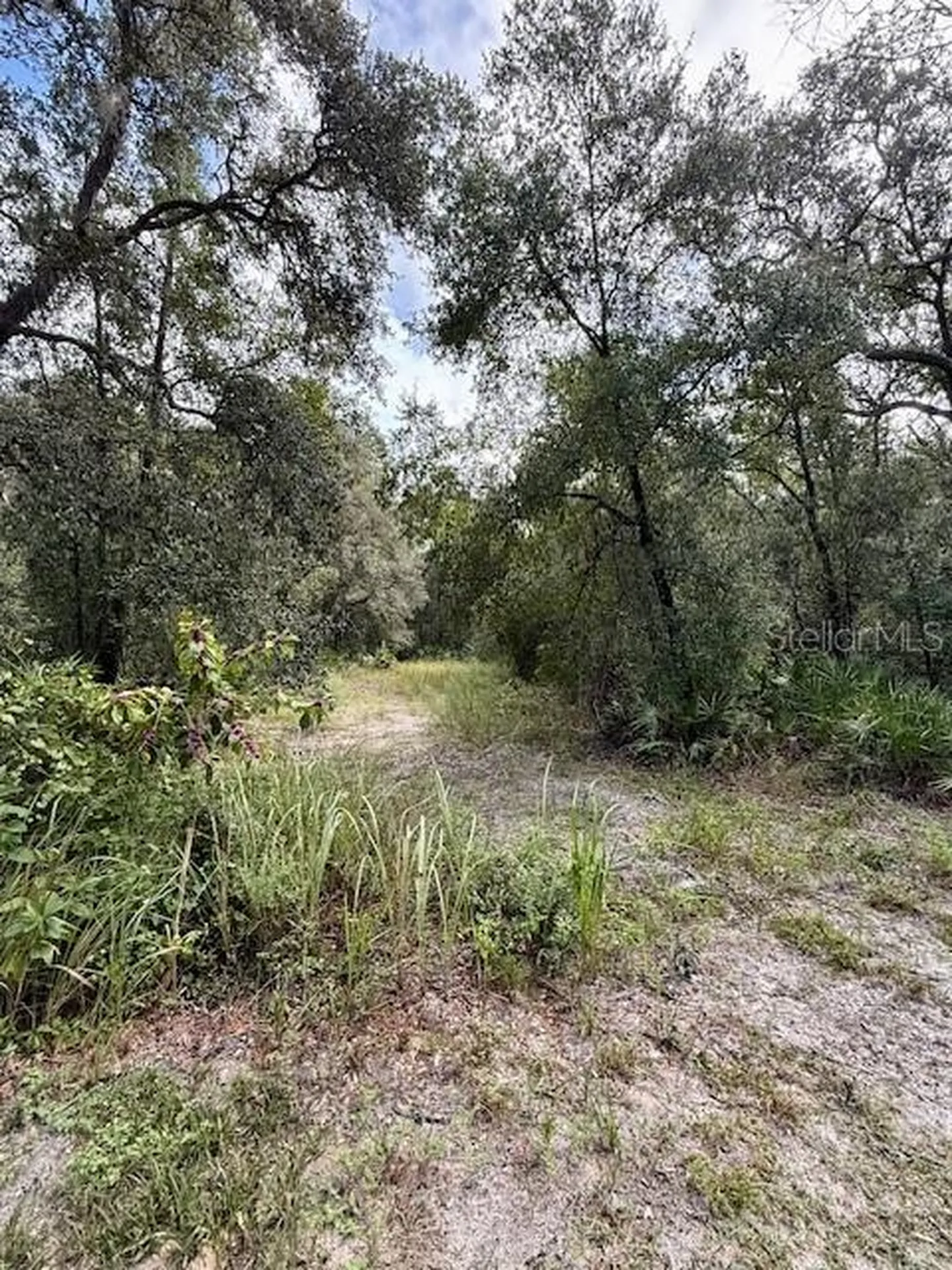 0 Gresham Road Webster FL 33597