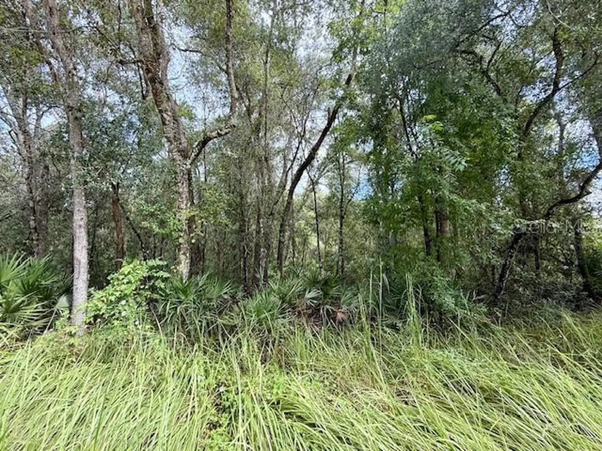 0 Gresham Road Webster FL 33597