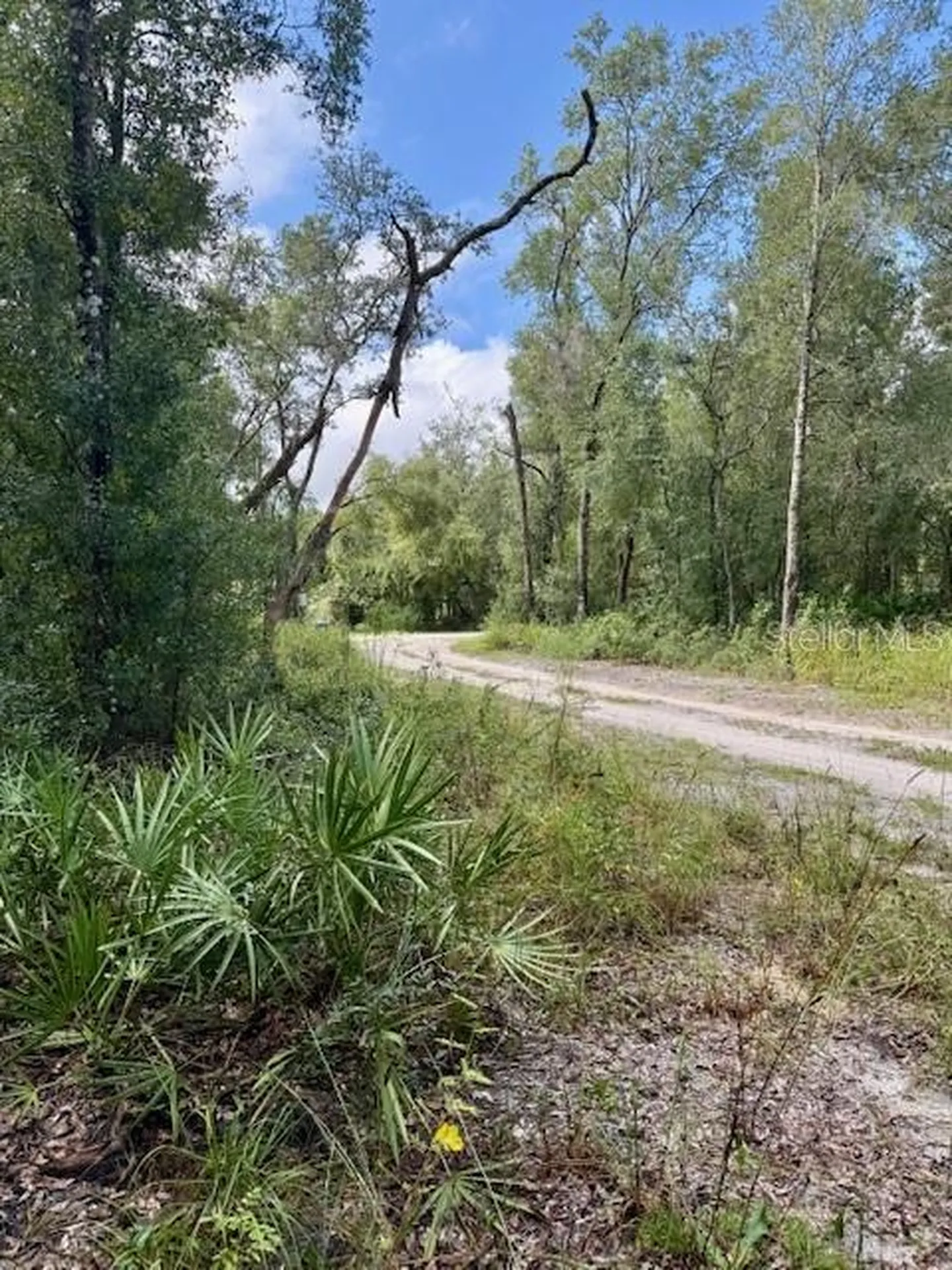 0 Gresham Road Webster FL 33597