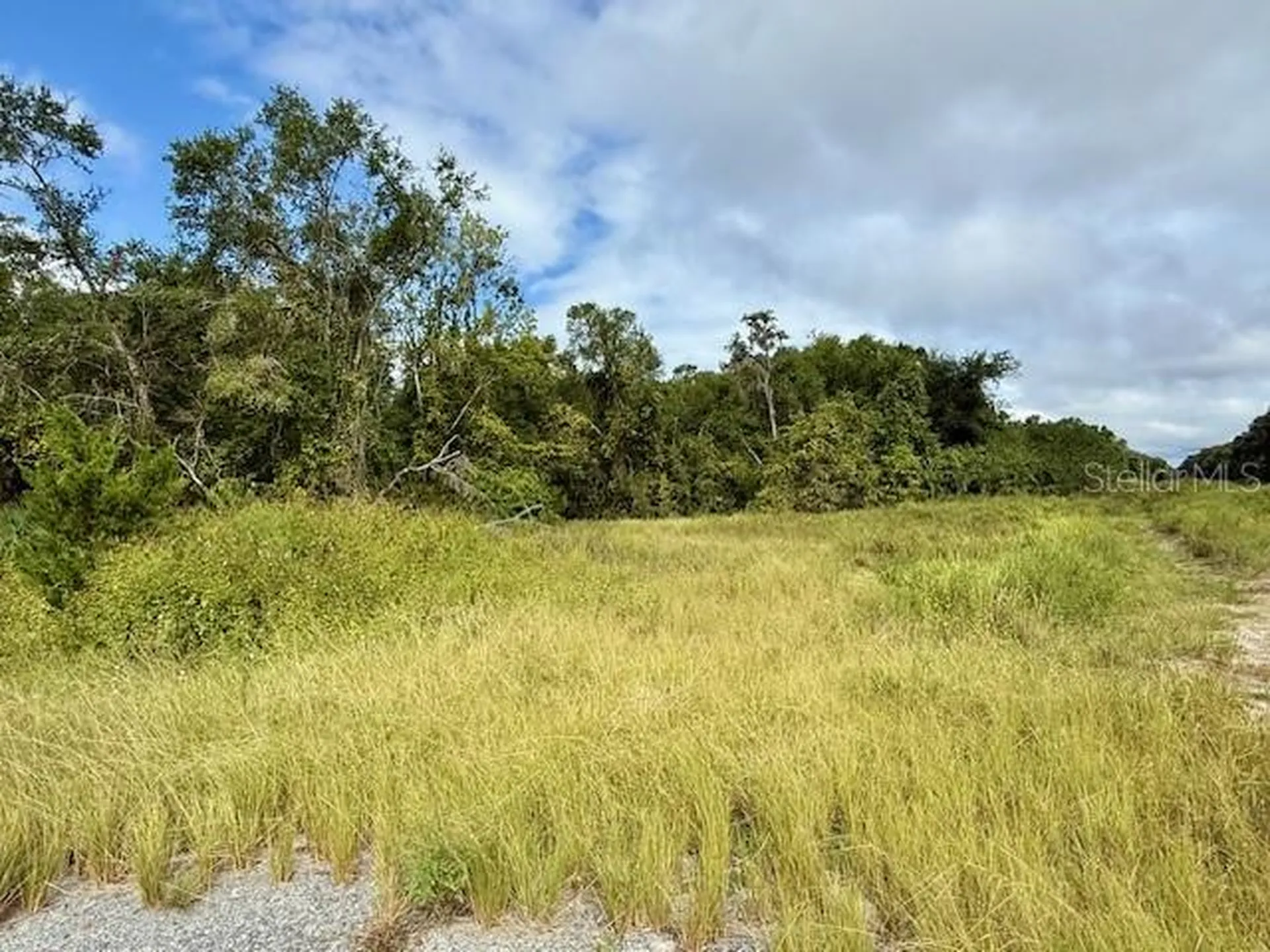 0 Gresham Road Webster FL 33597