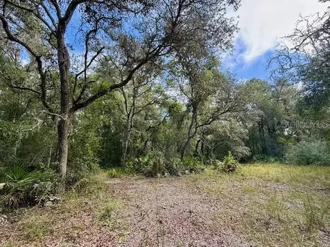 0 Gresham Road Webster FL 33597