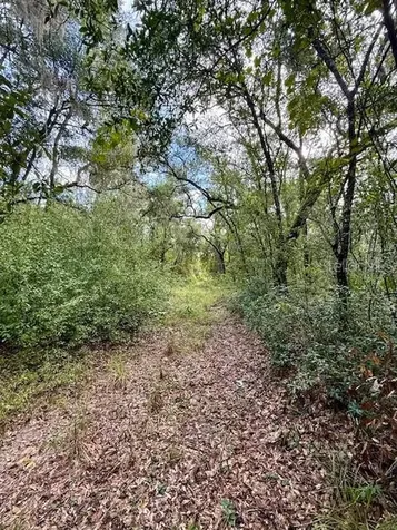 0 Gresham Road Webster FL 33597