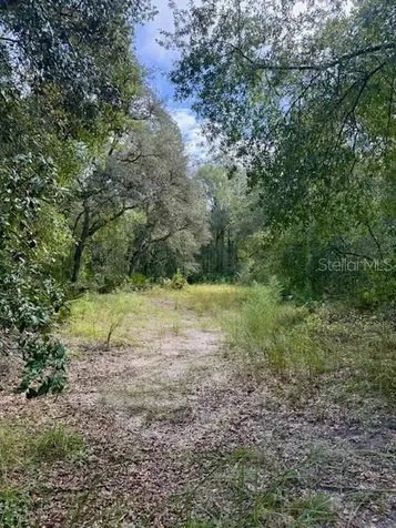 0 Gresham Road Webster FL 33597