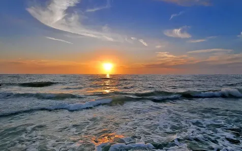 1212 Benjamin Franklin Drive Sarasota FL 34236