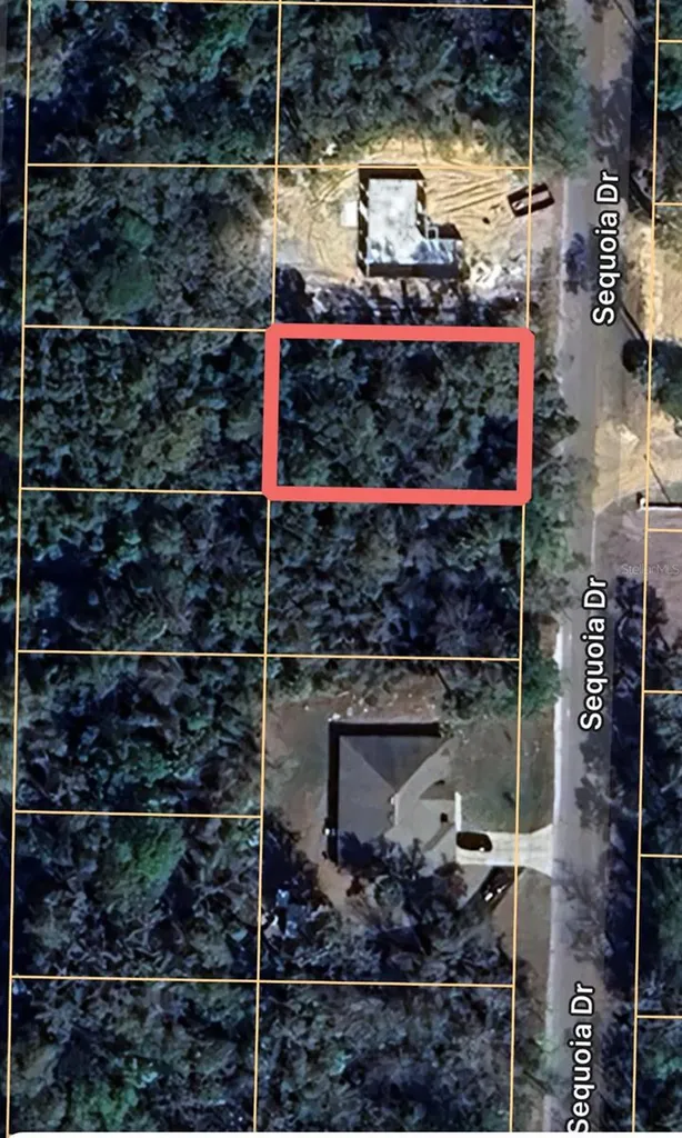 0 Sequoia Drive Ocklawaha FL 32179