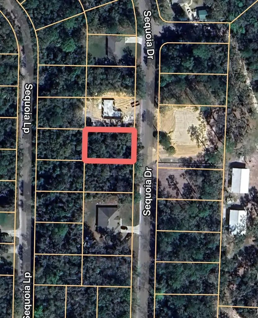 0 Sequoia Drive Ocklawaha FL 32179