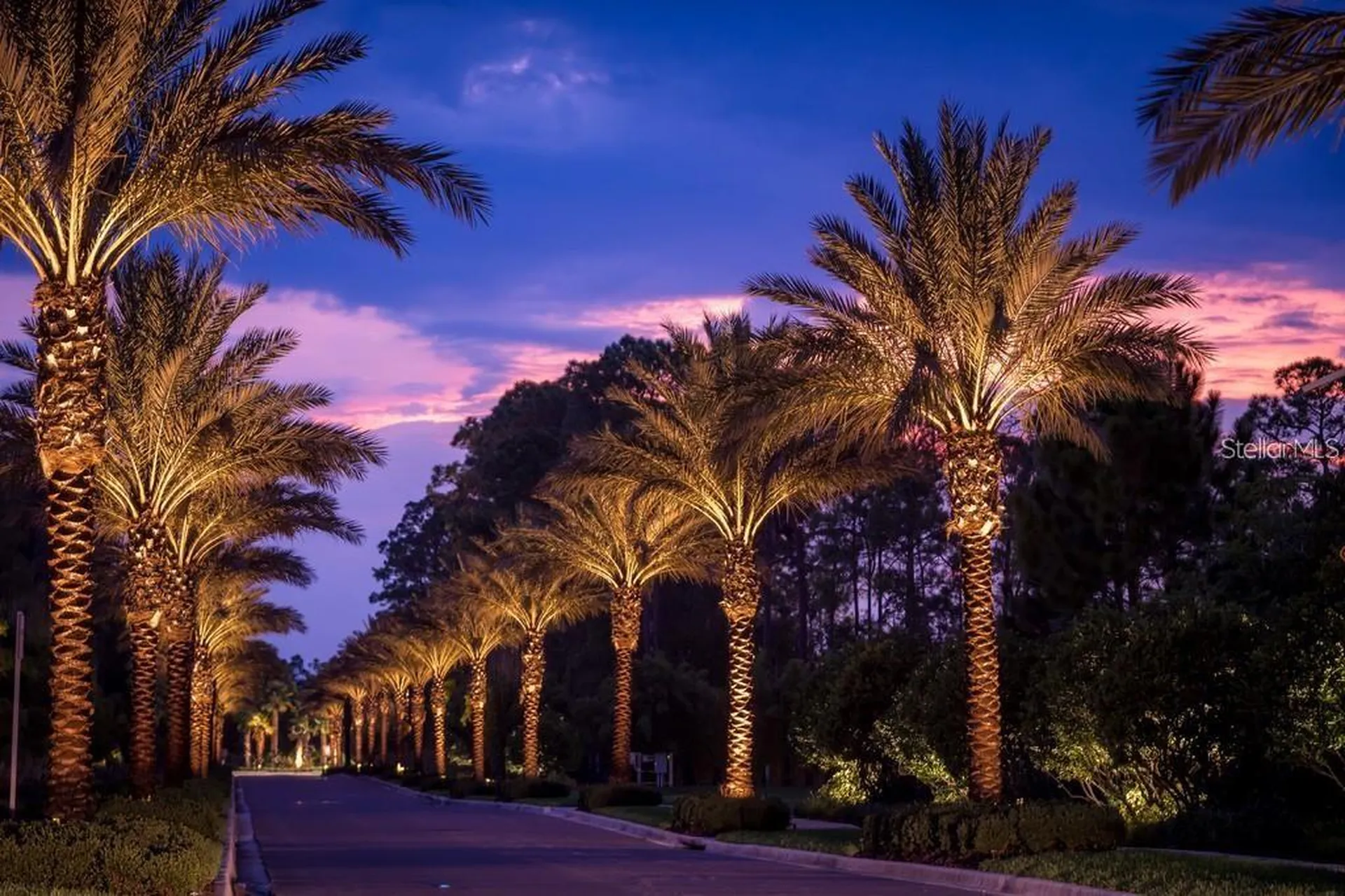 14501 Grove Resort Avenue Winter Garden FL 34787