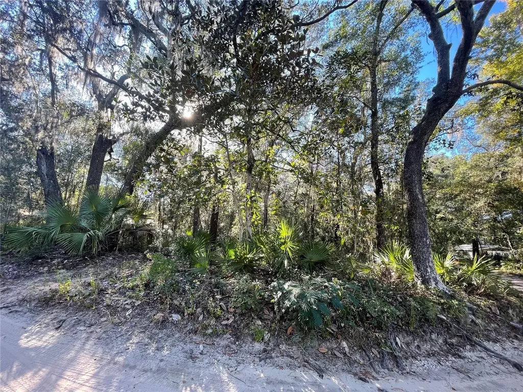 Tbd NE 199th Place Fort Mc Coy FL 32134
