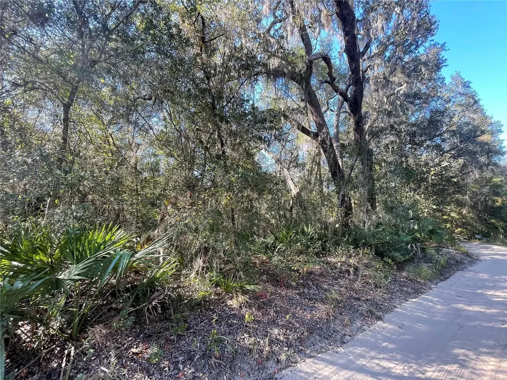 Tbd NE 199th Place Fort Mc Coy FL 32134