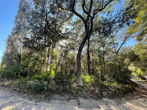 Tbd NE 199th Place Fort Mc Coy FL 32134