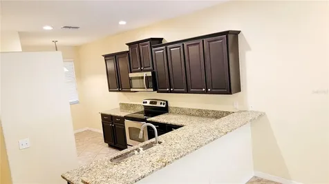9540 Trumpet Vine Loop Trinity FL 34655
