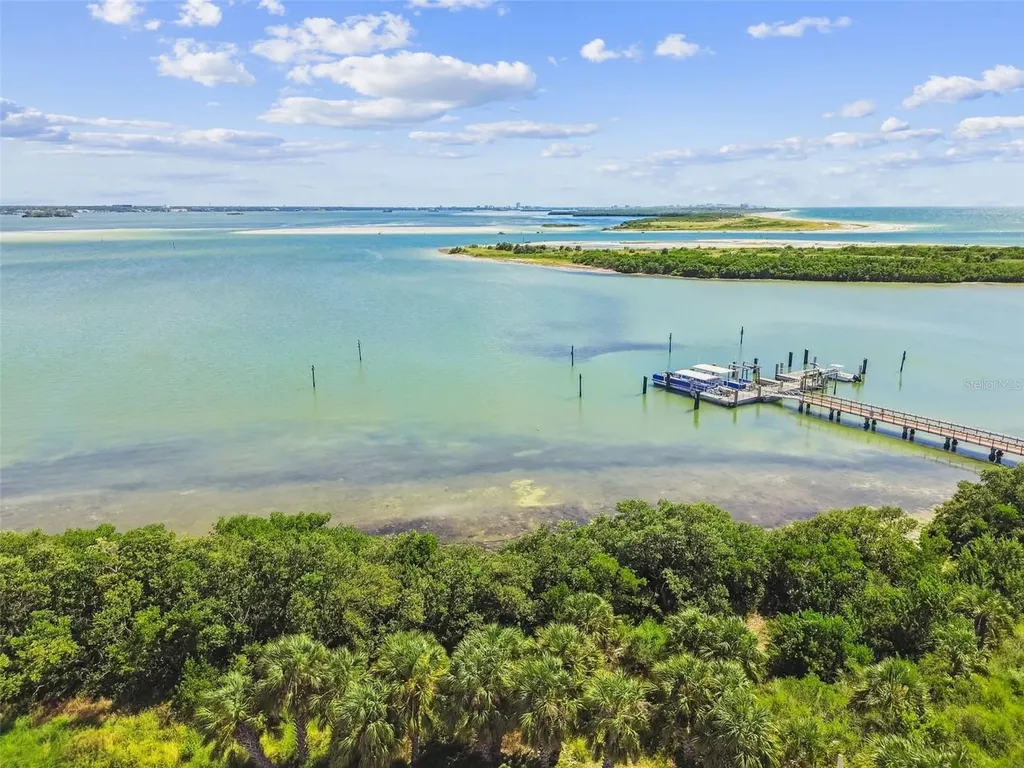 5 Island Park Place Dunedin FL 34698