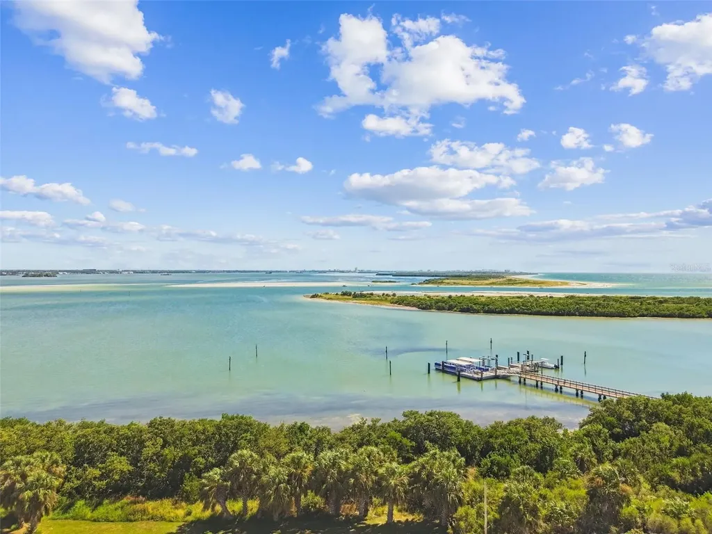 5 Island Park Place Dunedin FL 34698