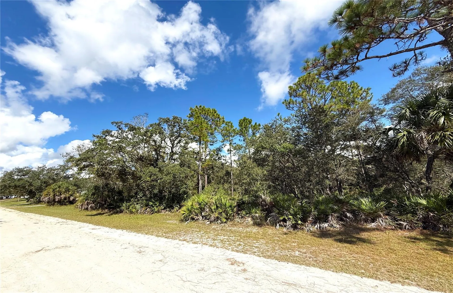 Syracuse Drive Brooksville FL 34614