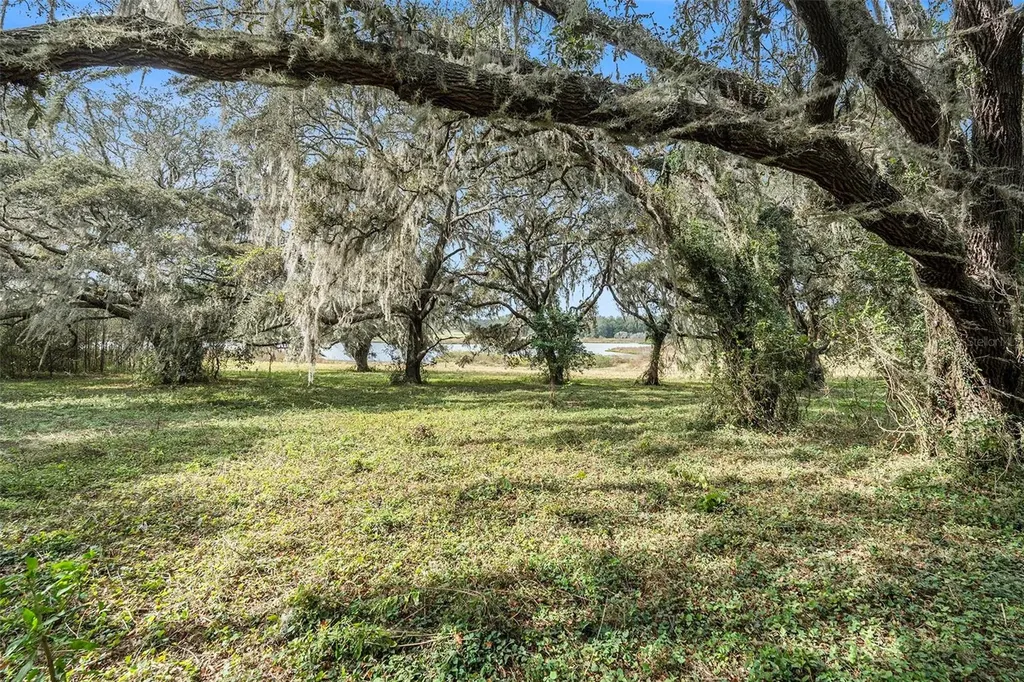 0 19-24-21-0000-00600-0010 Dade City FL 33526