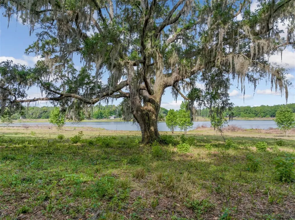 0 19-24-21-0000-00600-0010 Dade City FL 33526