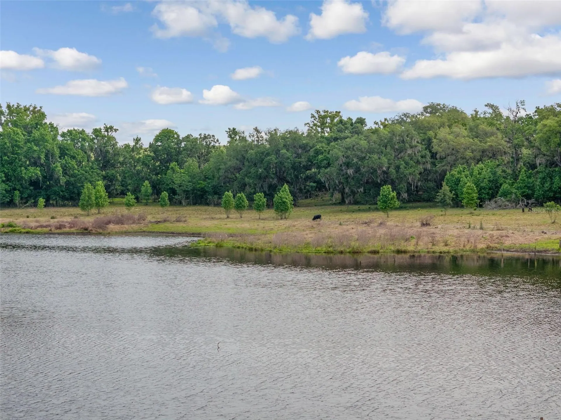 0 19-24-21-0000-00600-0010 Dade City FL 33526