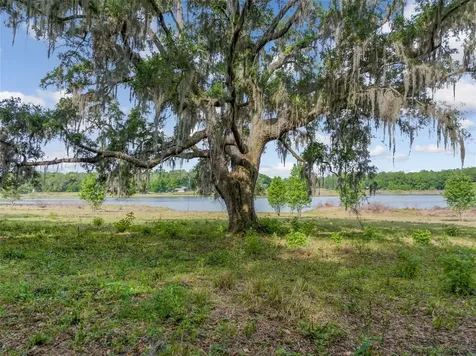 0 19-24-21-0000-00600-0010 Dade City FL 33526