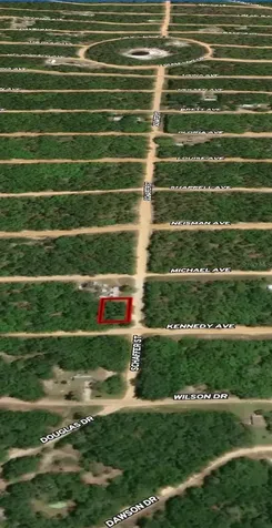 Lot 18 Kennedy Avenue Interlachen FL 32148