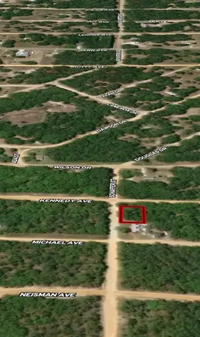 Lot 18 Kennedy Avenue Interlachen FL 32148
