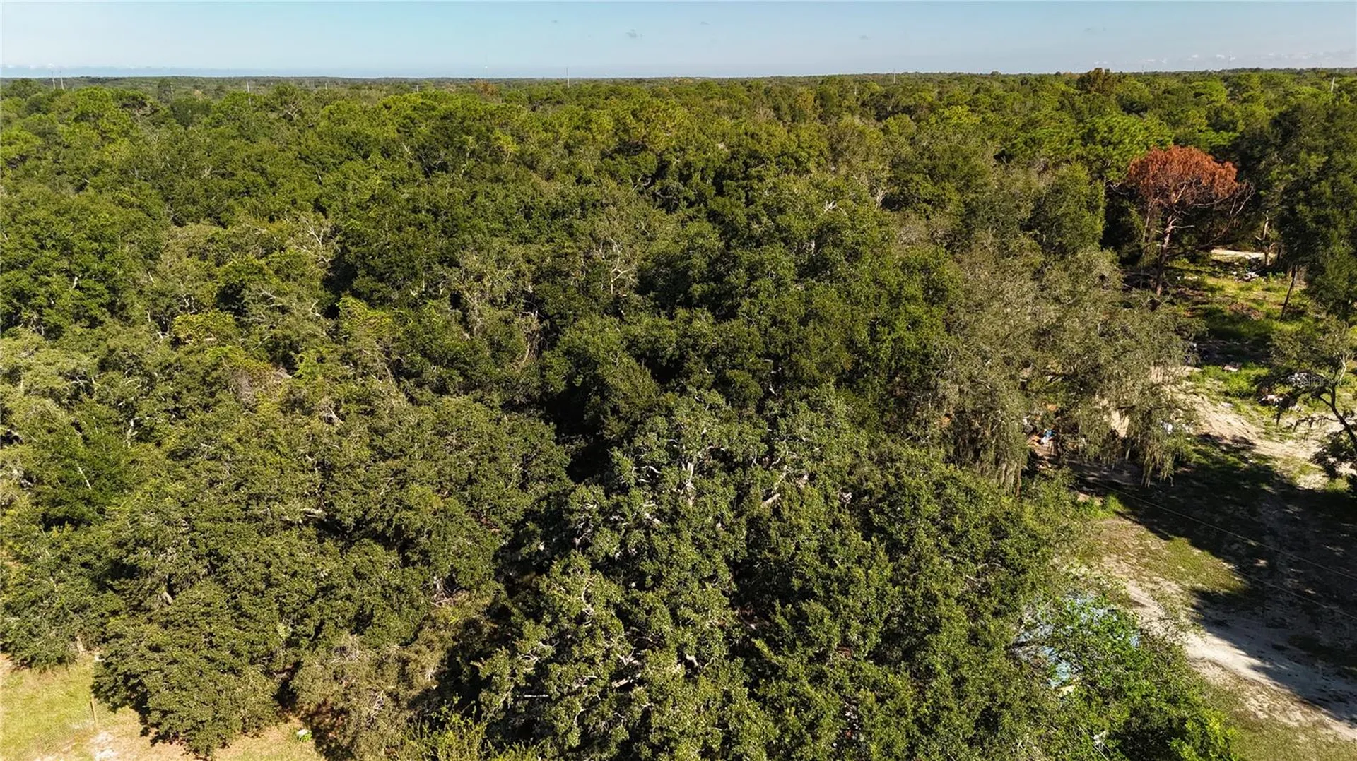 12510 Robinhood Road Hudson FL 34669