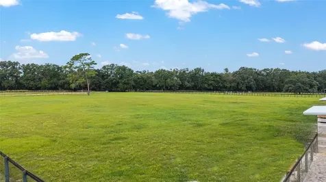 19630 SE 15th Place Morriston FL 32668