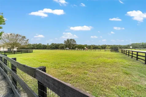 19630 SE 15th Place Morriston FL 32668
