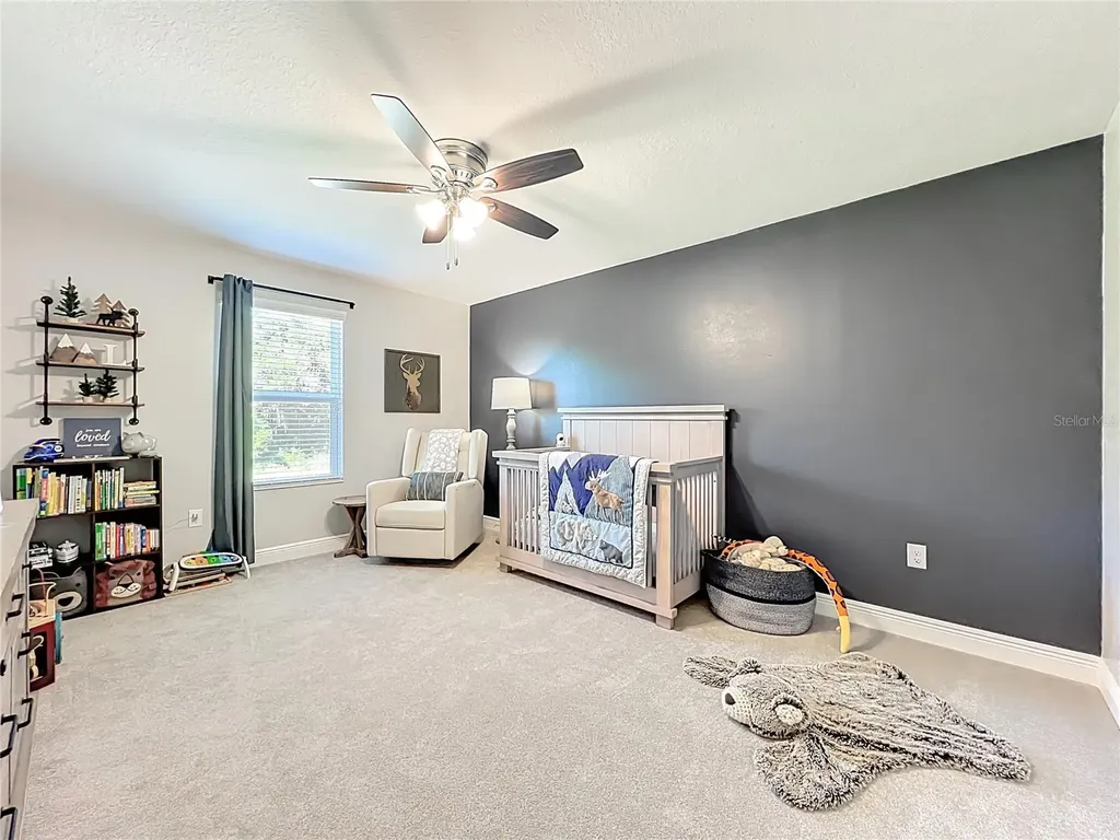 6089 Sierra Crown Street Mount Dora FL 32757
