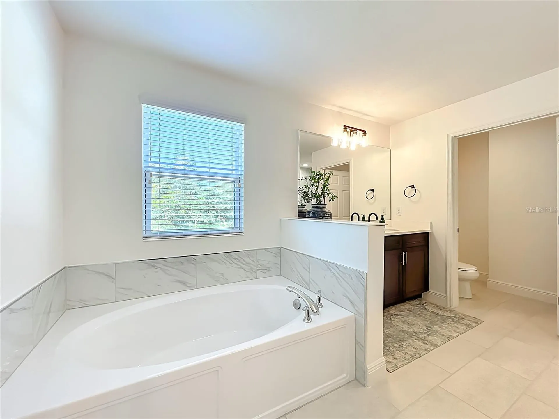6089 Sierra Crown Street Mount Dora FL 32757