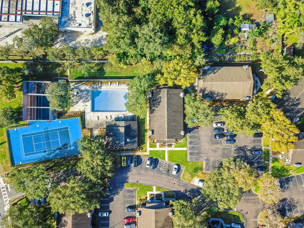 4013 Dream Oak Place Tampa FL 33613