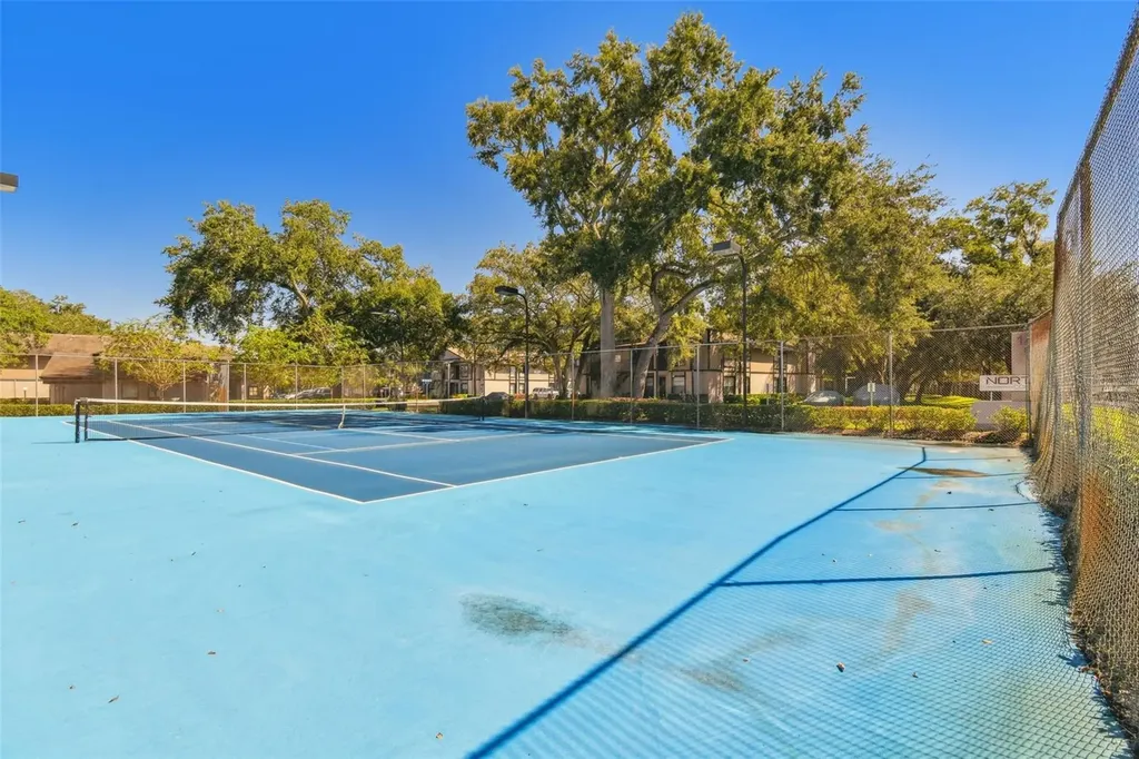 4013 Dream Oak Place Tampa FL 33613