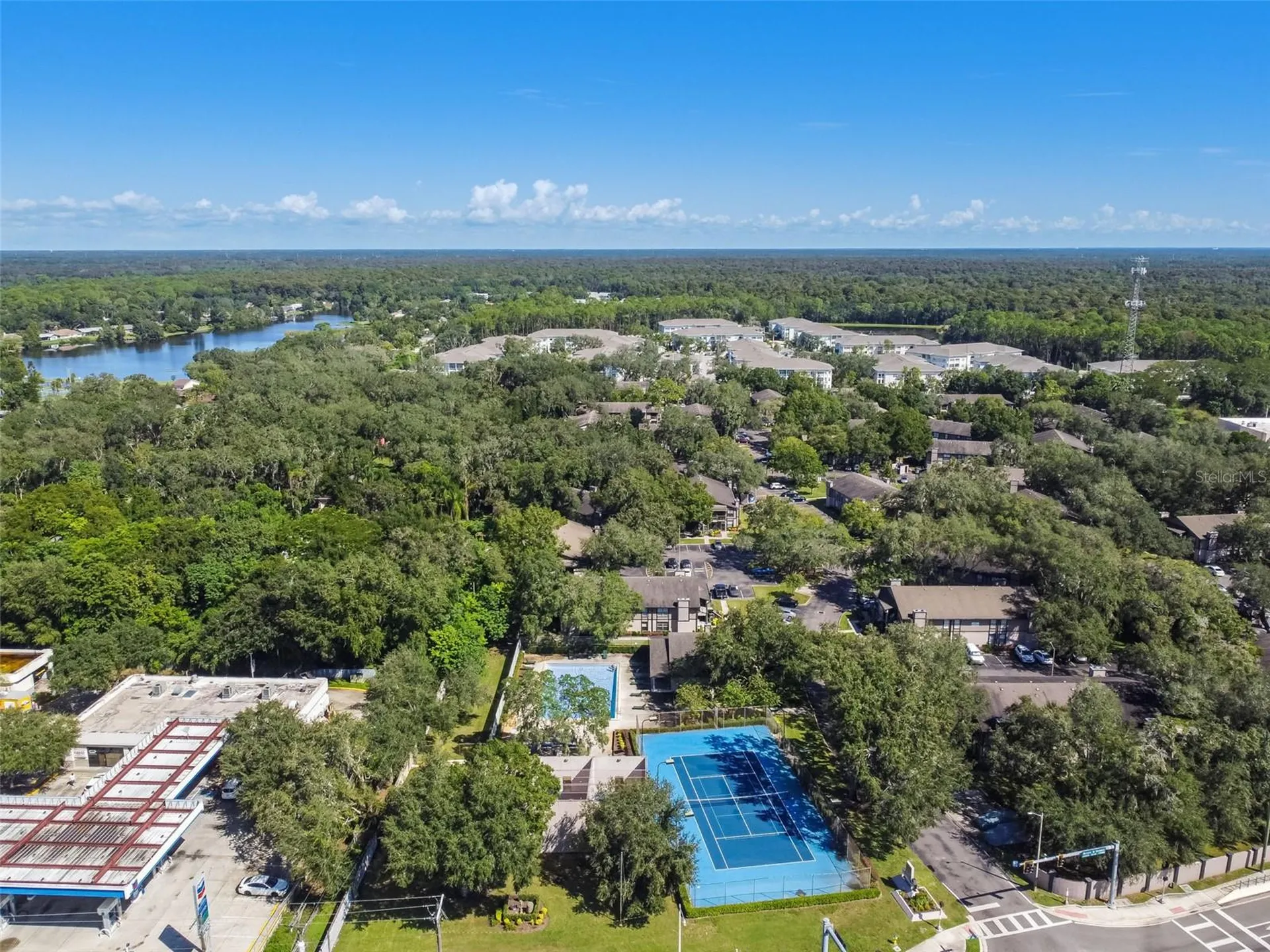 4013 Dream Oak Place Tampa FL 33613