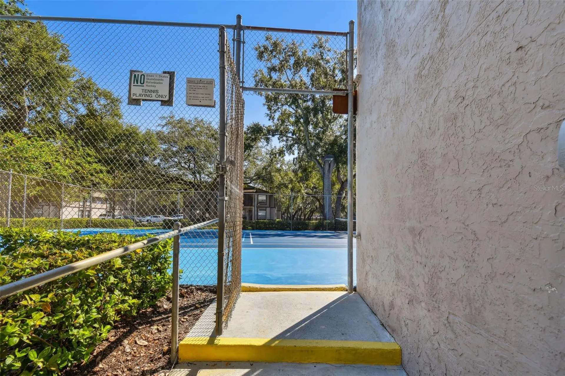 4013 Dream Oak Place Tampa FL 33613
