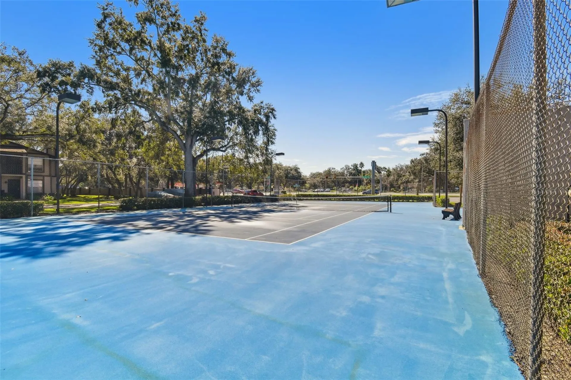 4013 Dream Oak Place Tampa FL 33613