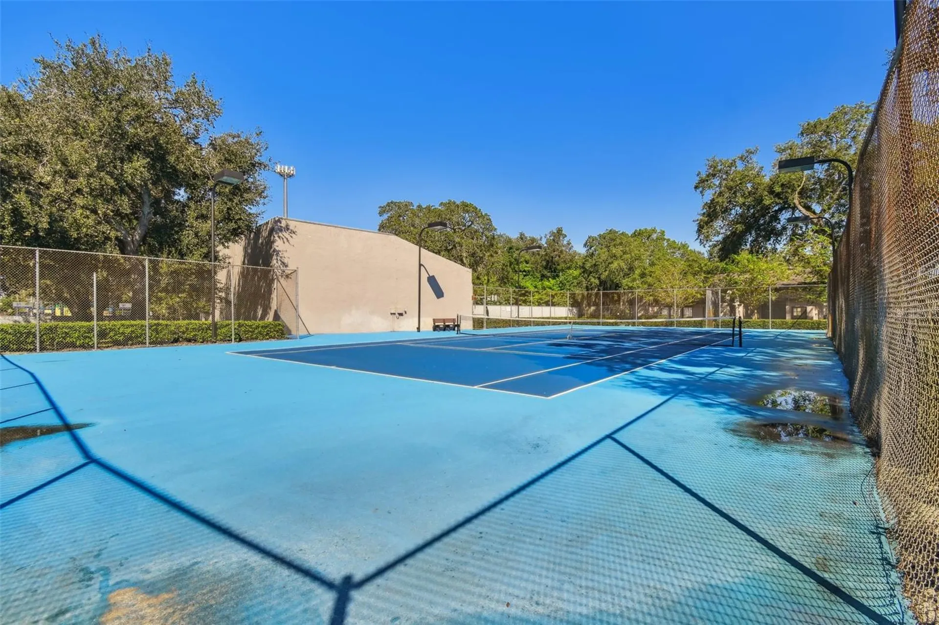 4013 Dream Oak Place Tampa FL 33613