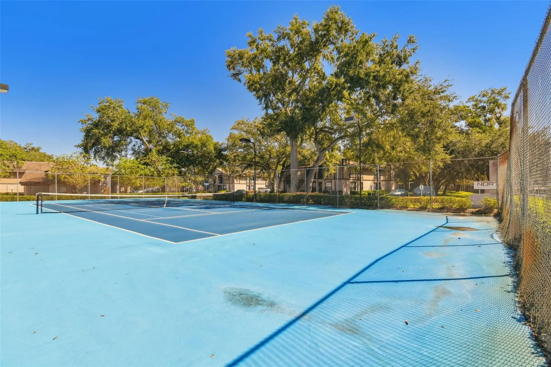 4013 Dream Oak Place Tampa FL 33613