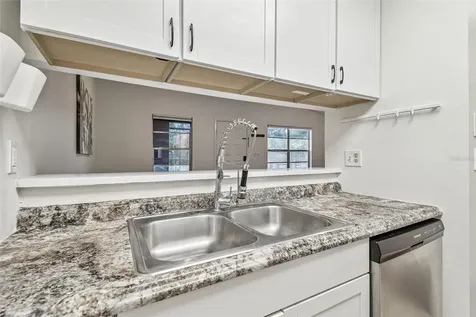 4013 Dream Oak Place Tampa FL 33613