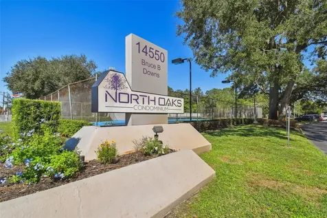4013 Dream Oak Place Tampa FL 33613