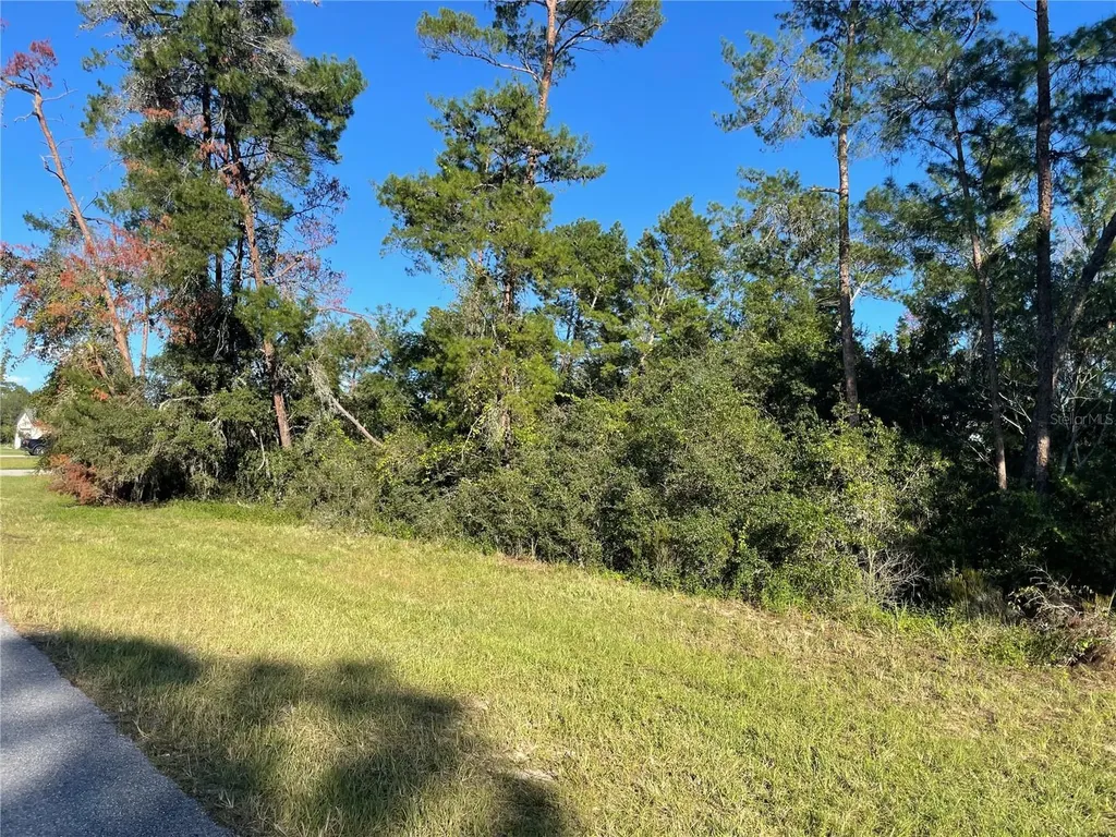 Marion Oaks Lane Ocala FL 34476