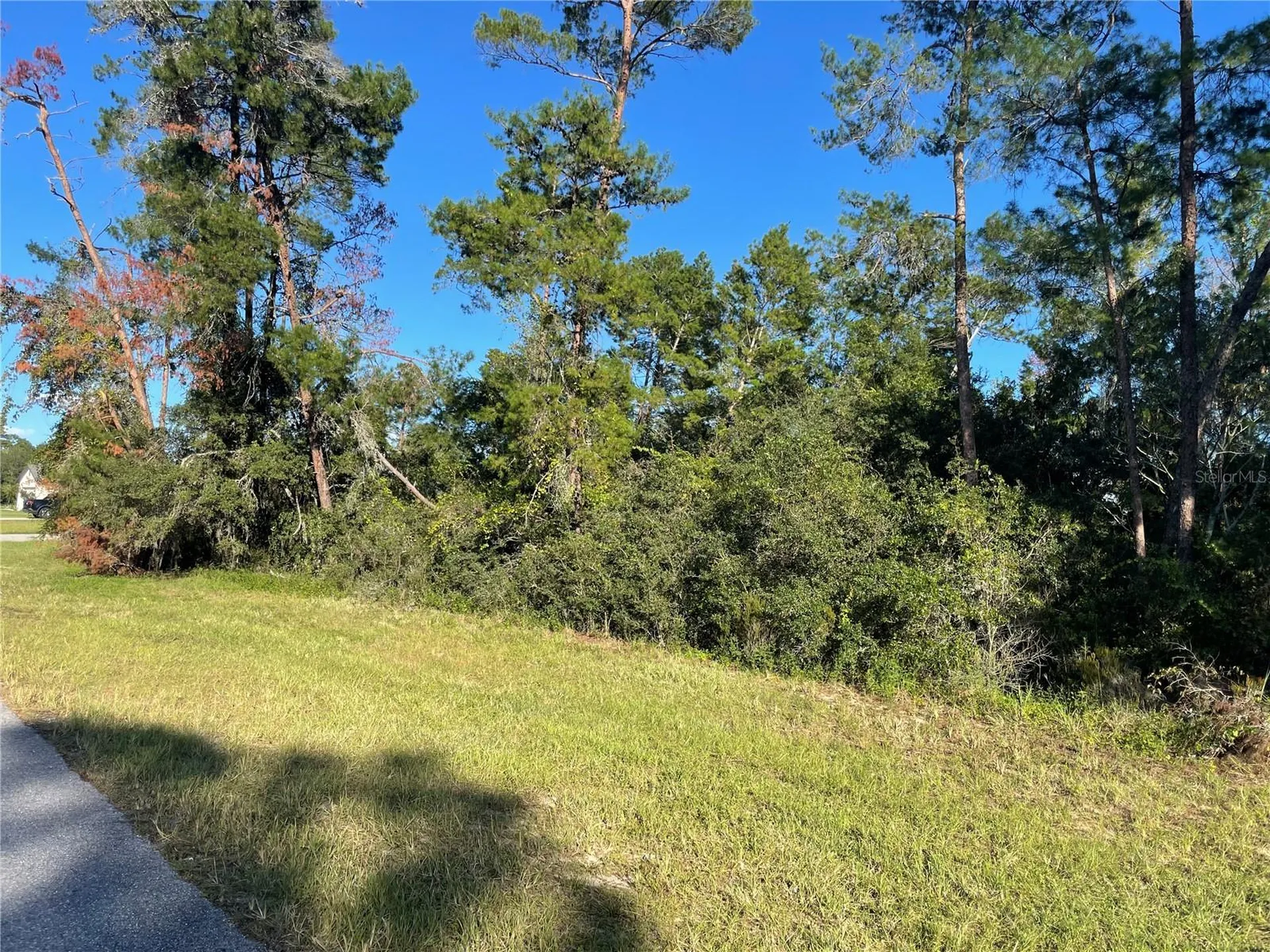 Marion Oaks Lane Ocala FL 34476