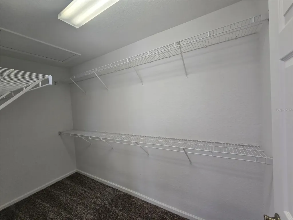 3542 Shallot Drive Orlando FL 32835