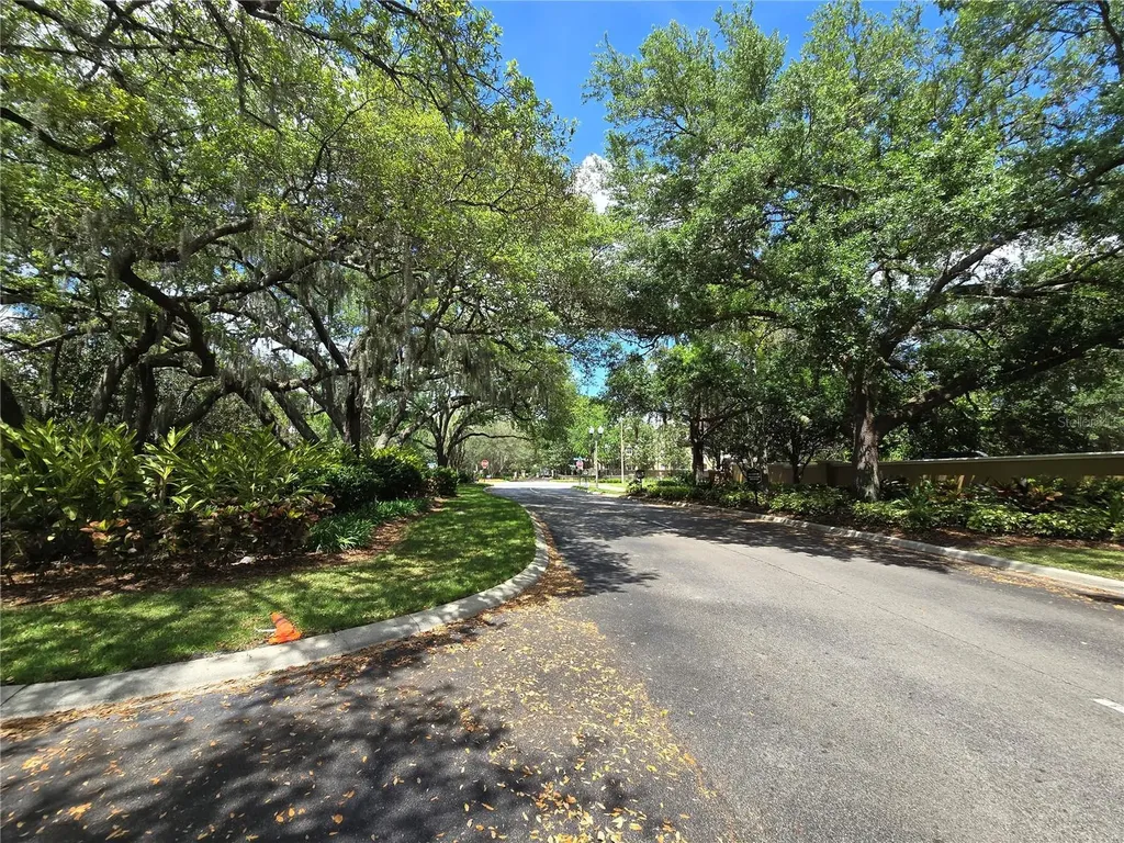3542 Shallot Drive Orlando FL 32835
