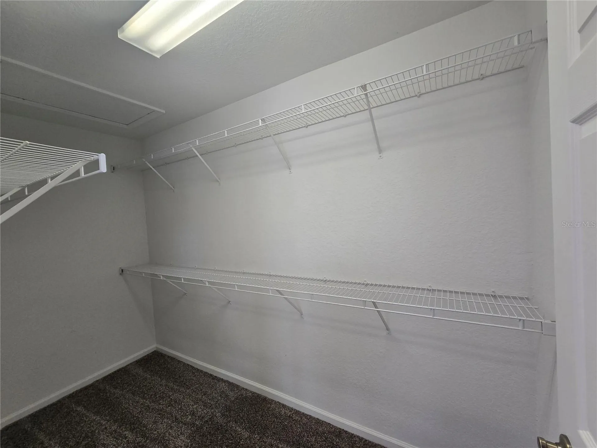 3542 Shallot Drive Orlando FL 32835