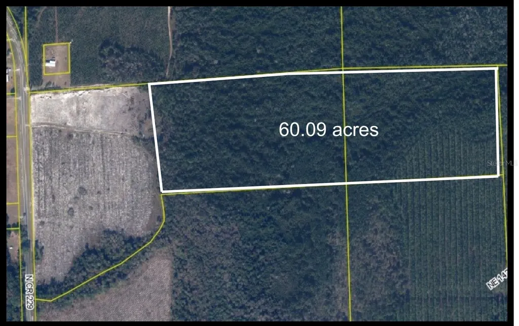 Tbd N County Road 229 Raiford FL 32083