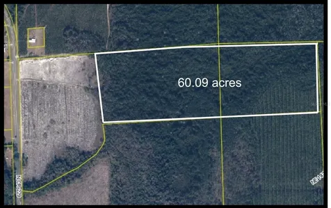 TBD N County Road 229 Raiford FL 32083