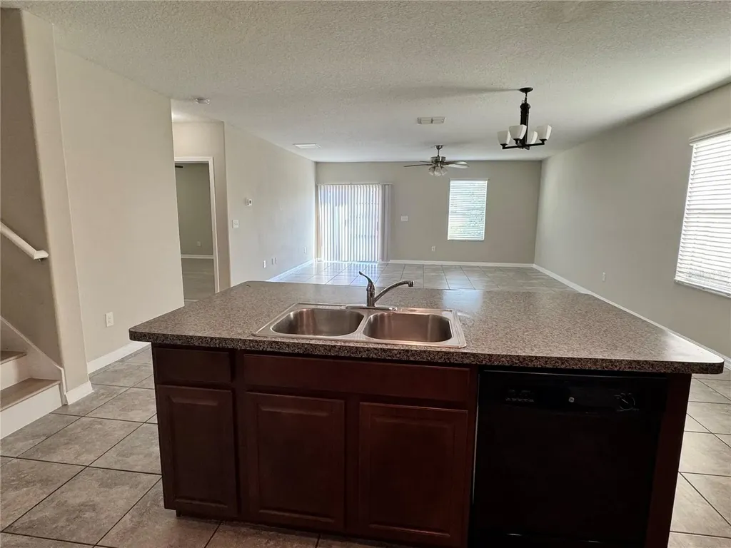 10013 Crested Fringe Drive Riverview FL 33578